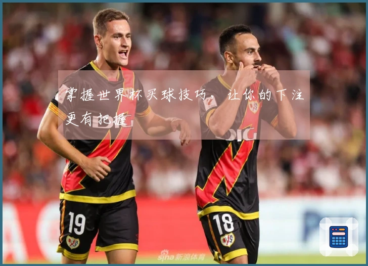 掌握世界杯买球技巧，让你的下注更有把握