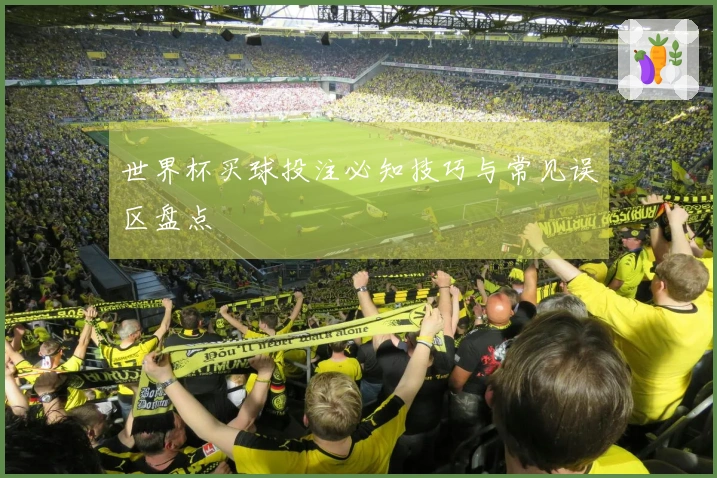 世界杯买球投注必知技巧与常见误区盘点