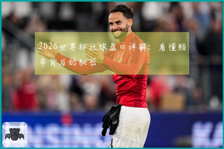 2026世界杯让球盘口详解：看懂赔率背后的秘密