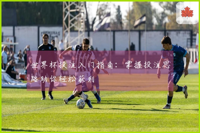 世界杯投注入门指南：掌握投注思路助你轻松获利