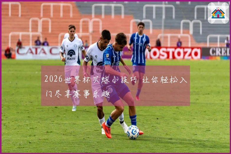 2026世界杯买球小技巧 让你轻松入门尽享赛事乐趣