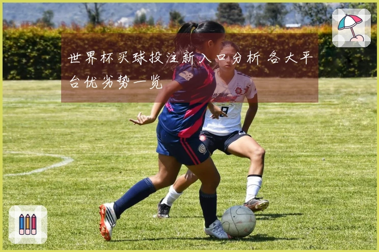 世界杯买球投注新入口分析 各大平台优劣势一览